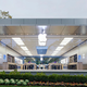 Image for article titled Apple's Glass Stores: A Danger to Birds and Old Ladies? (UPDATED)